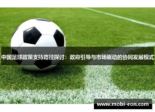 中国足球政策支持路径探讨：政府引导与市场驱动的协同发展模式