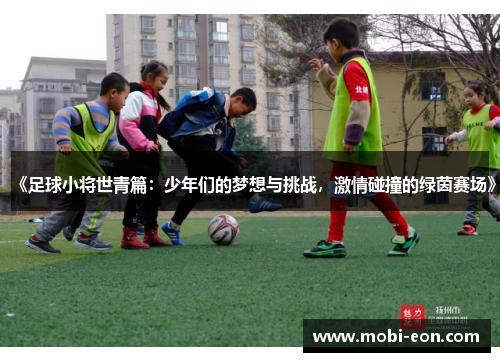 《足球小将世青篇：少年们的梦想与挑战，激情碰撞的绿茵赛场》